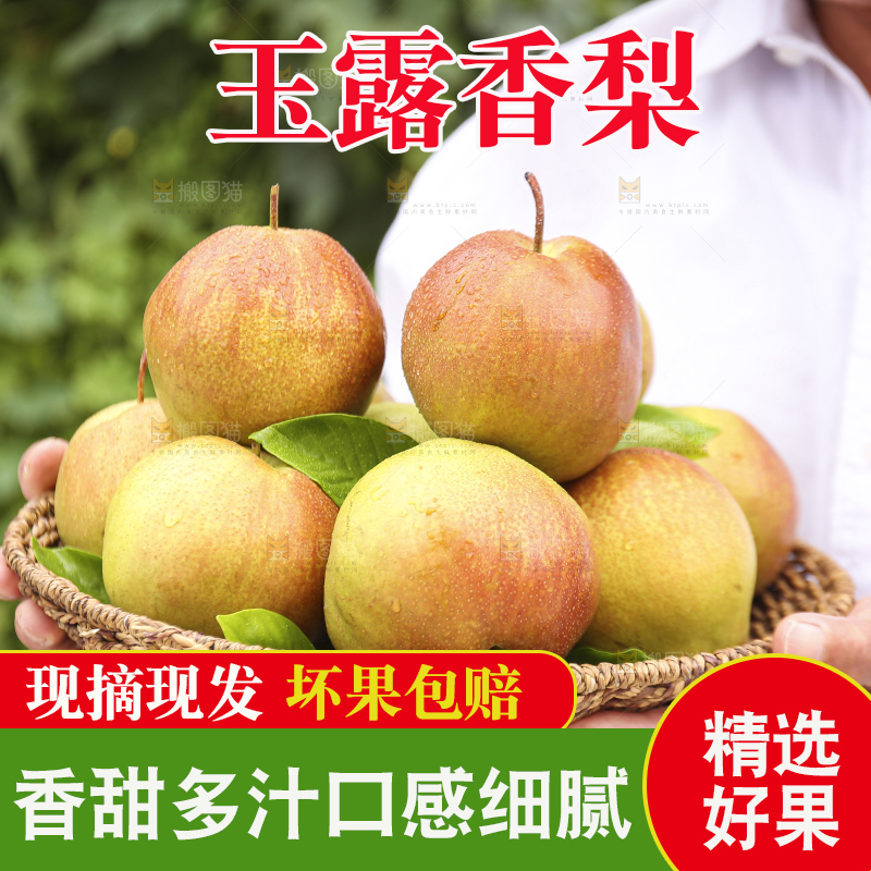 手里拿着玉露香梨