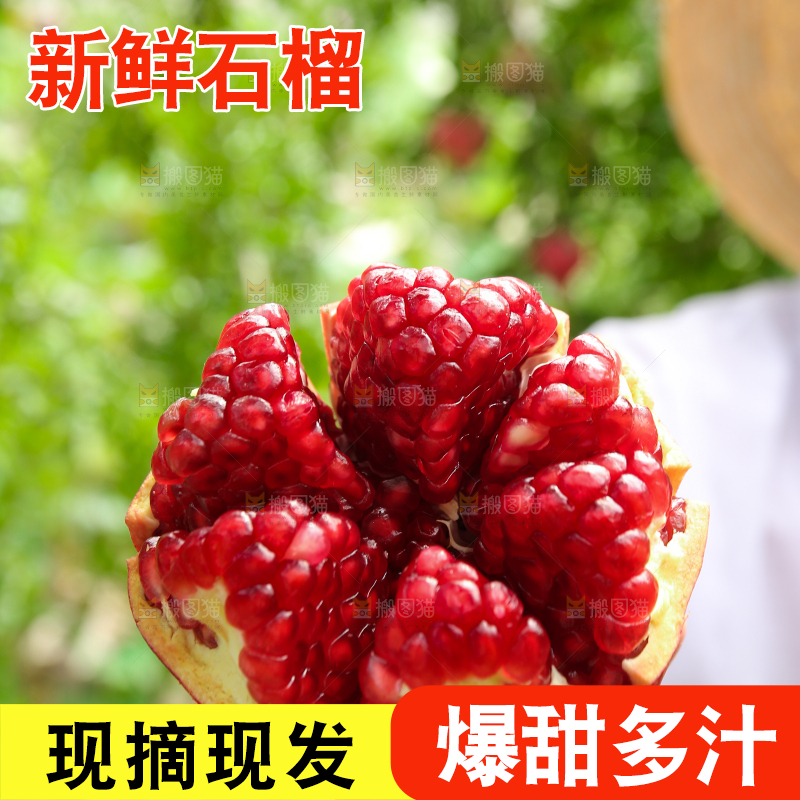石榴产地
