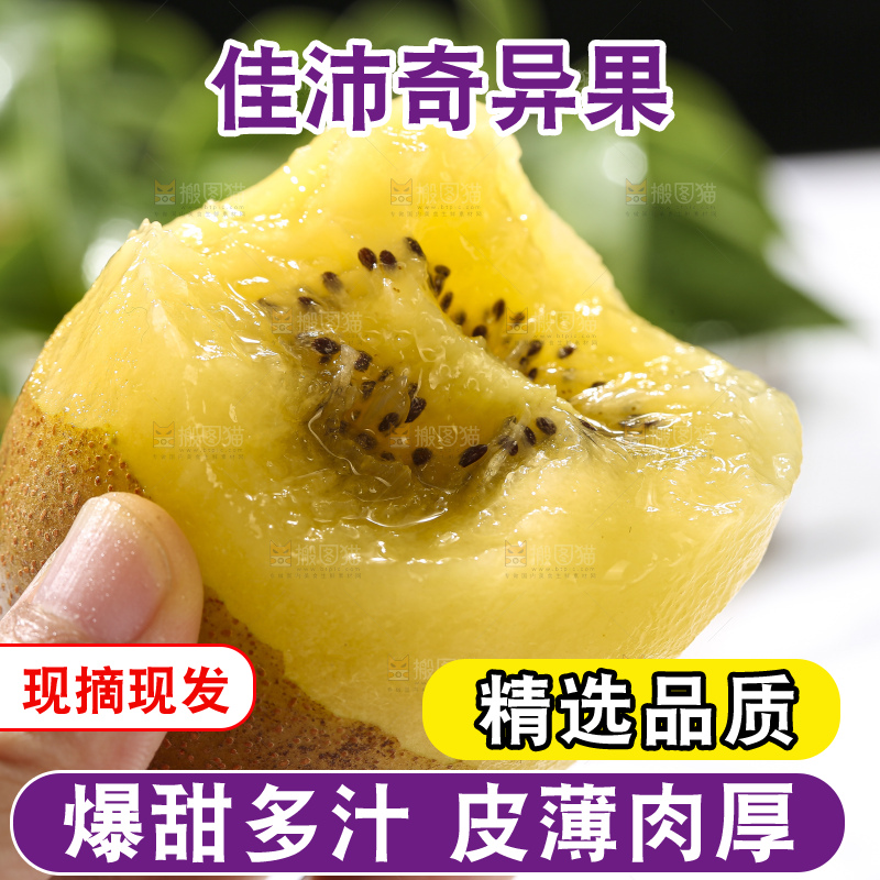 深底上放着佳沛奇异果