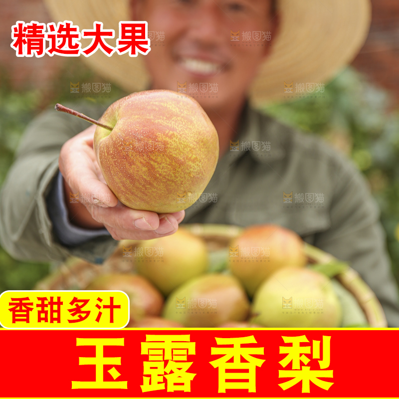 手里拿着玉露香梨