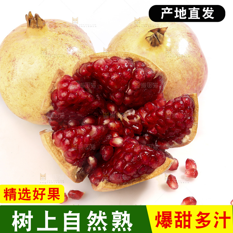 白底上的突尼斯软籽石榴