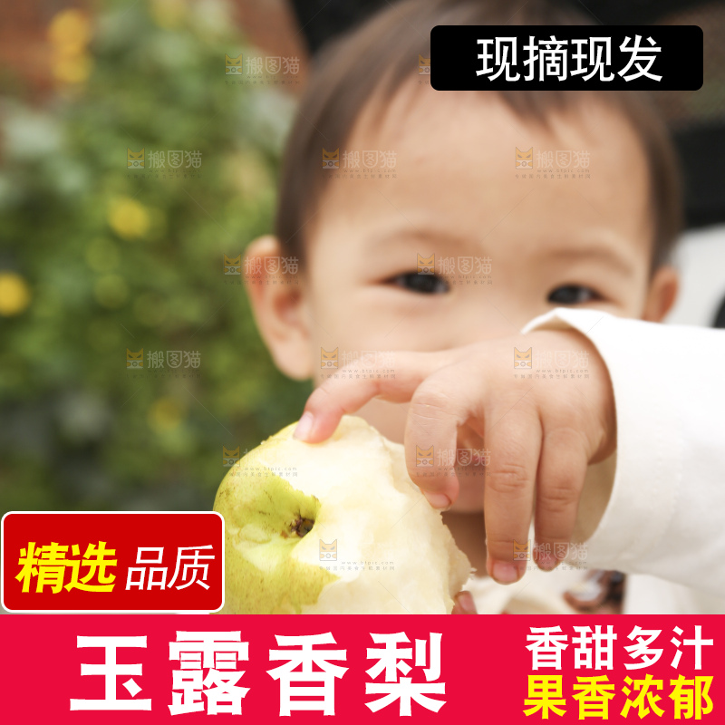 手里拿着玉露香梨