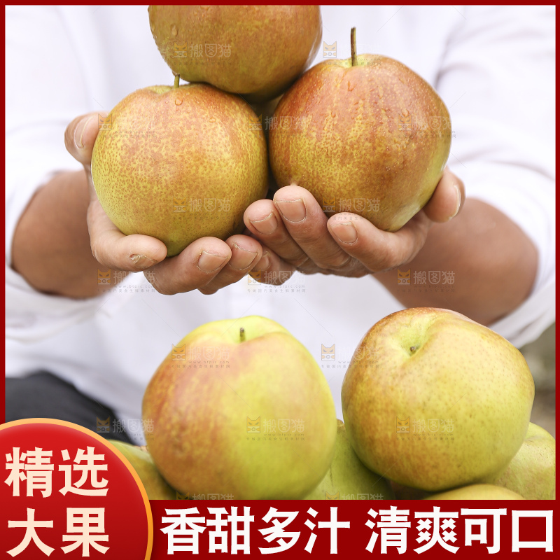 手里拿着玉露香梨
