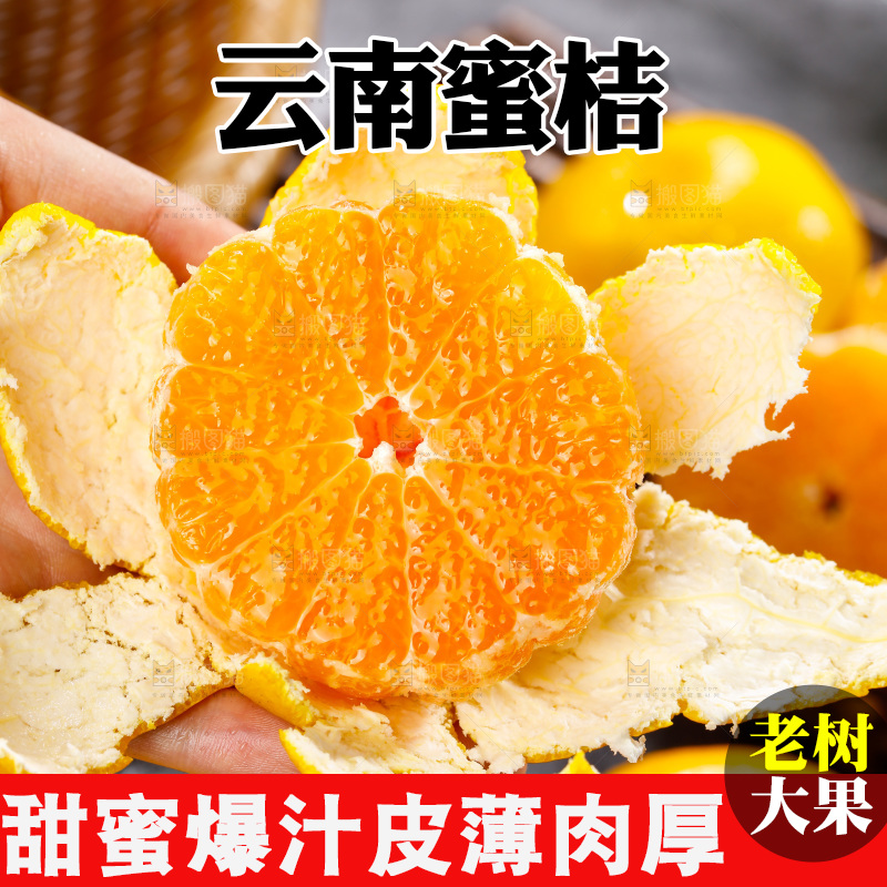 深底上的宜昌蜜桔