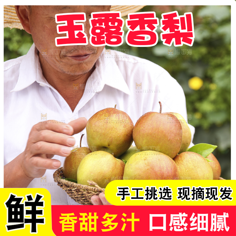 手里拿着玉露香梨