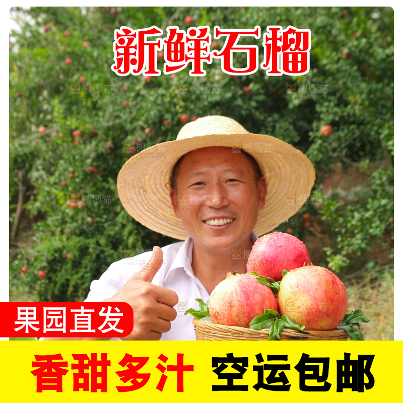 石榴产地
