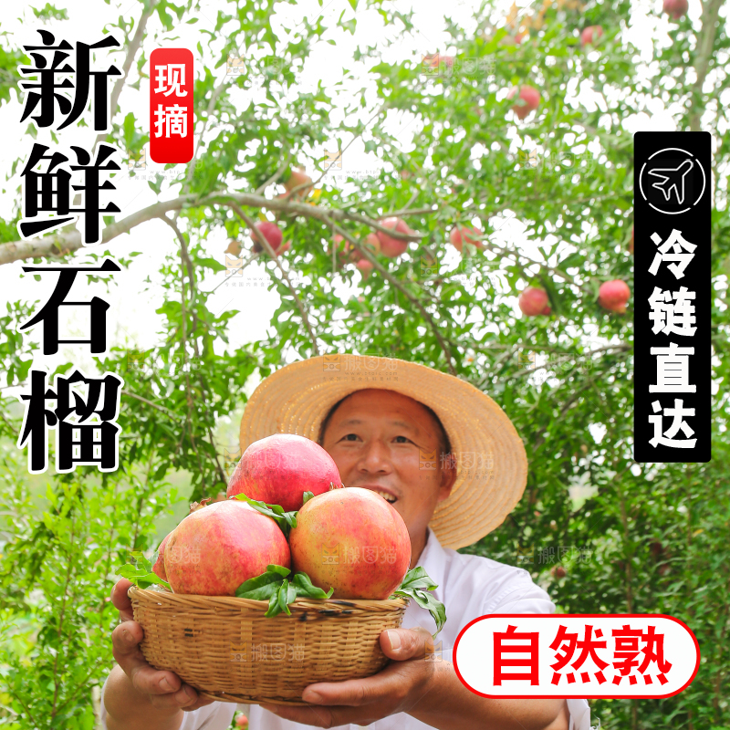 石榴产地