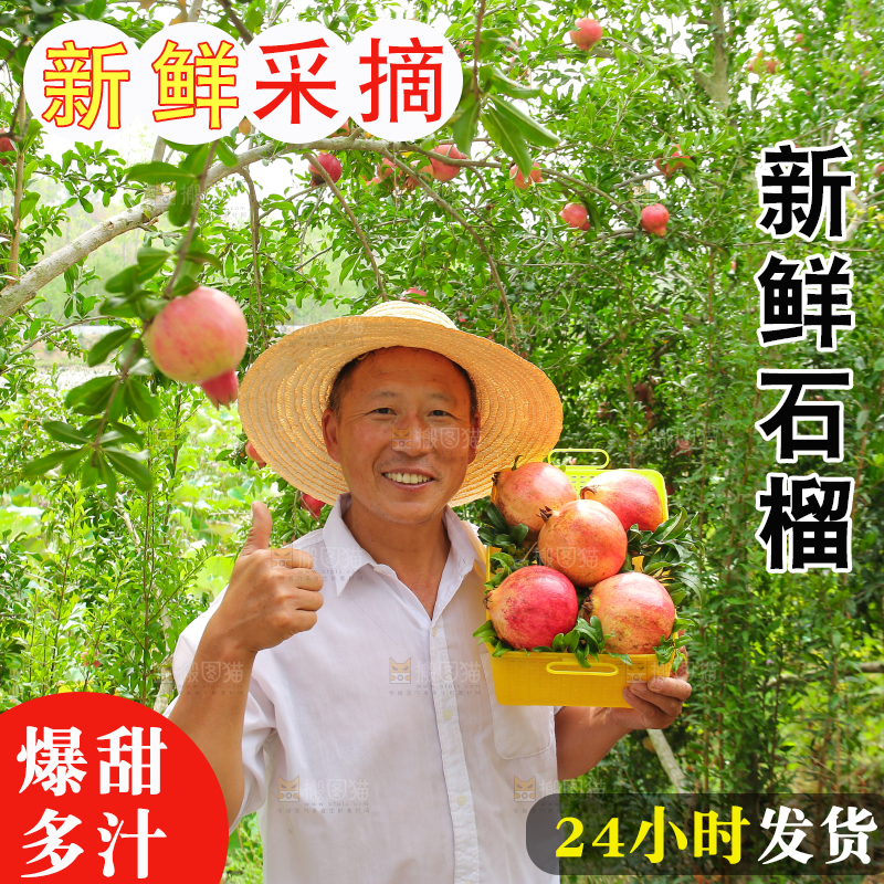 石榴产地