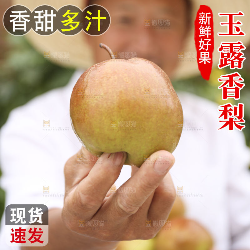 手里拿着玉露香梨
