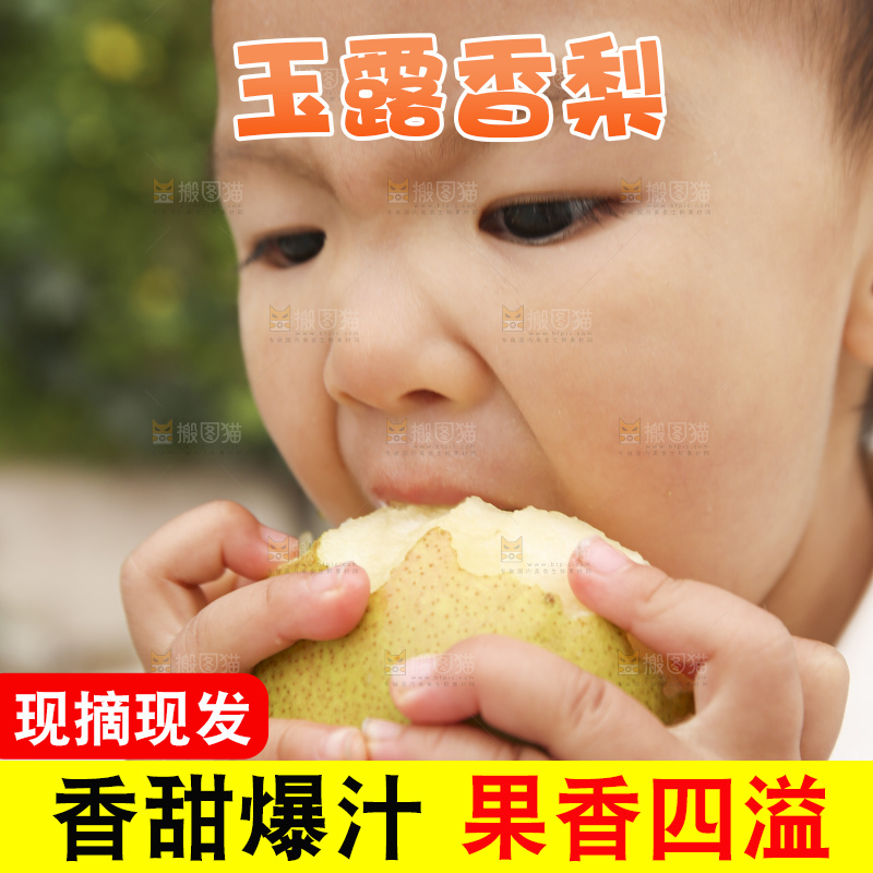 手里拿着玉露香梨