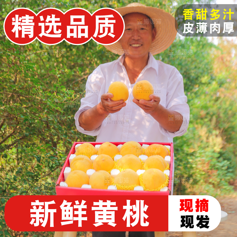 手里拿着炎陵黄桃