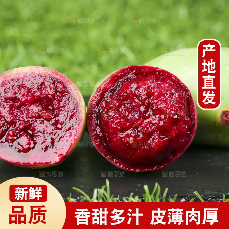 黑石板上放着仙人掌果