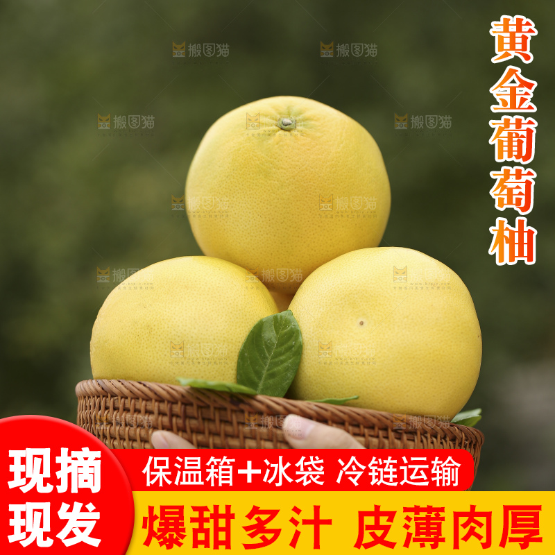 手里拿着黄金葡萄柚