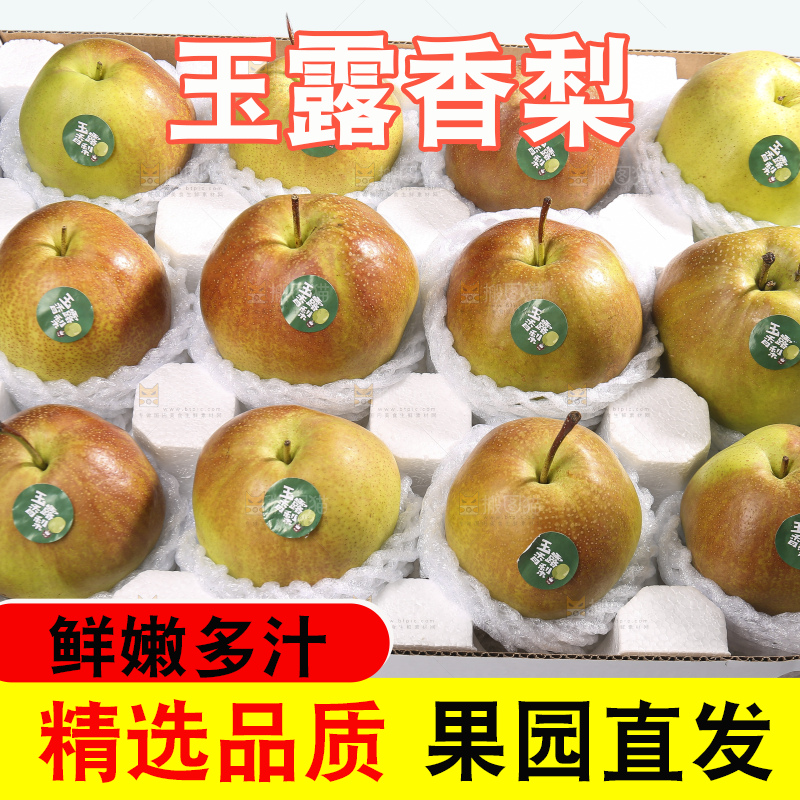 白底上的玉露香梨