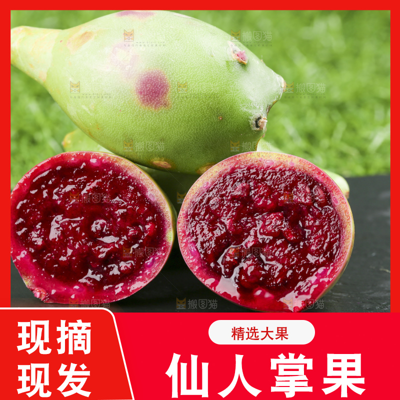 黑石板上放着仙人掌果