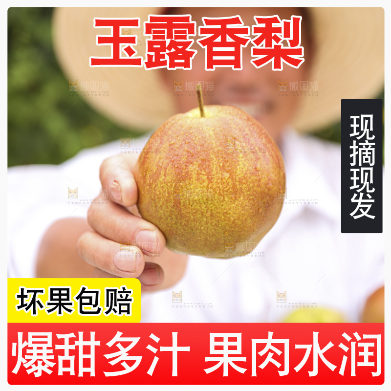 手里拿着玉露香梨