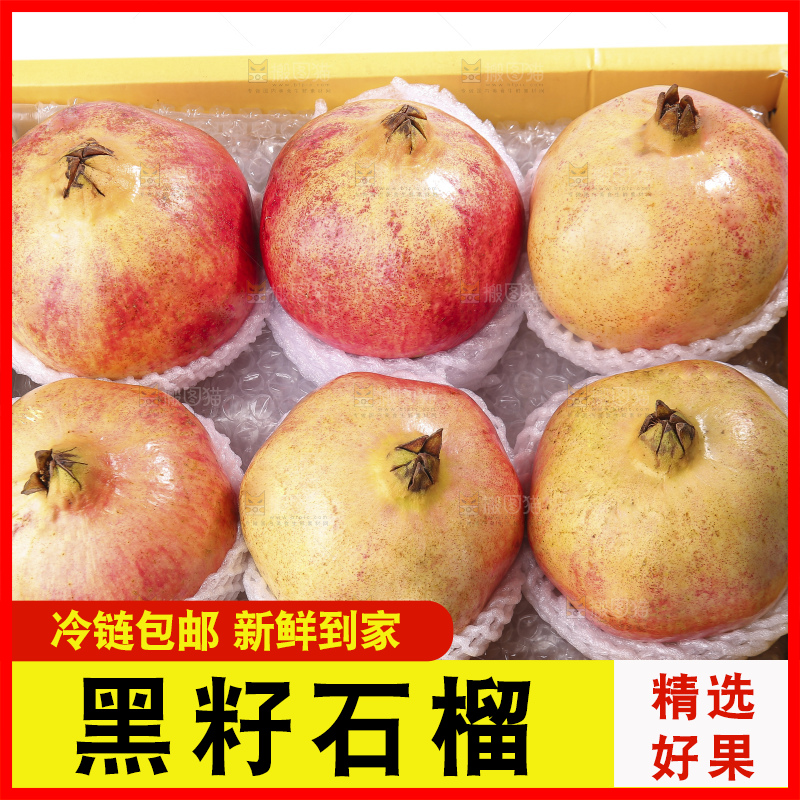 白底上的突尼斯软籽石榴