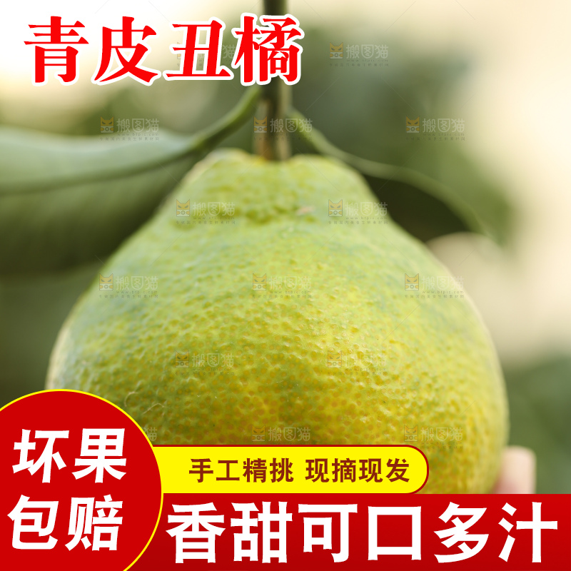 深底上的青皮丑橘