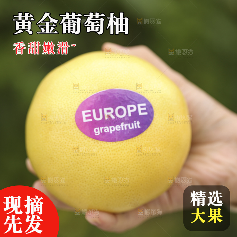 手里拿着黄金葡萄柚