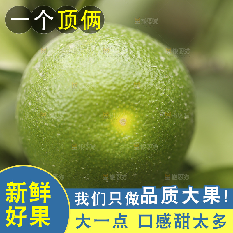 户外的青橘