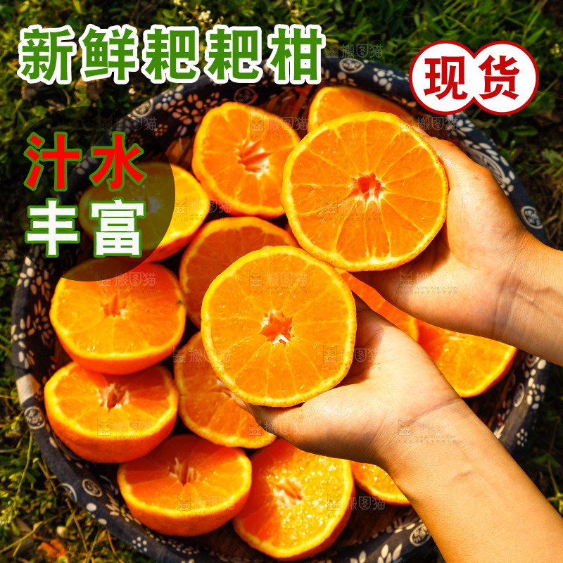 草地上的耙耙柑