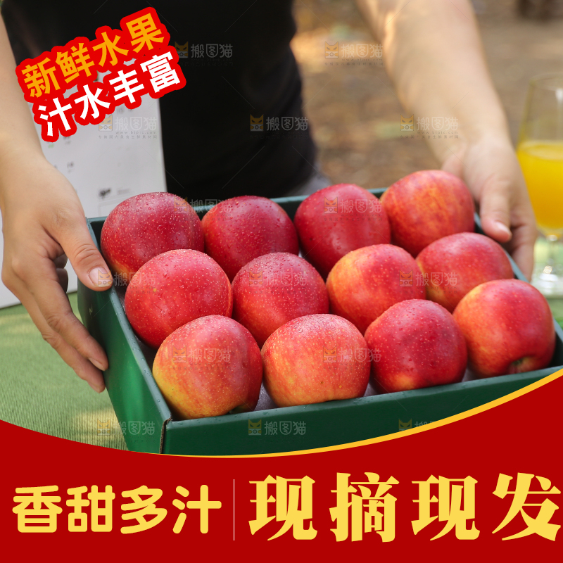 手里拿着高原红苹果