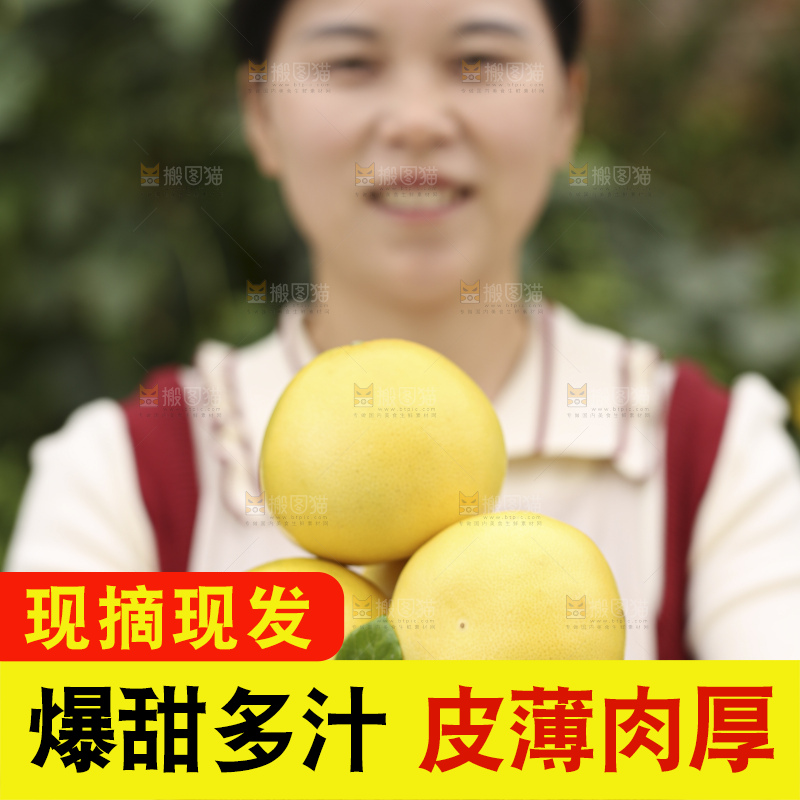 手里拿着黄金葡萄柚