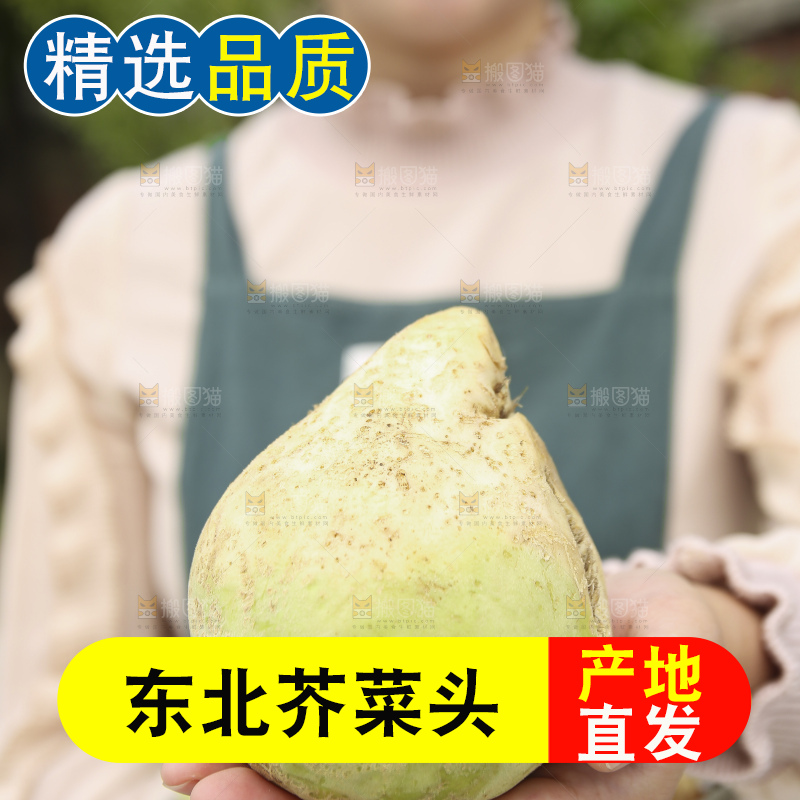 手里拿着大头芥菜