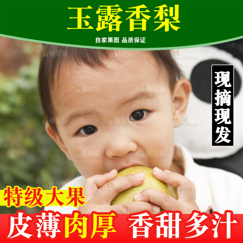 手里拿着玉露香梨