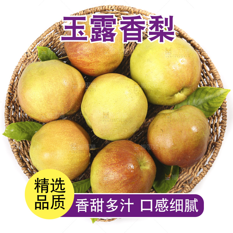 白底上的玉露香梨