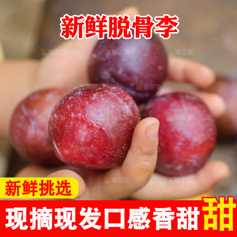木底上放着红脱骨李
