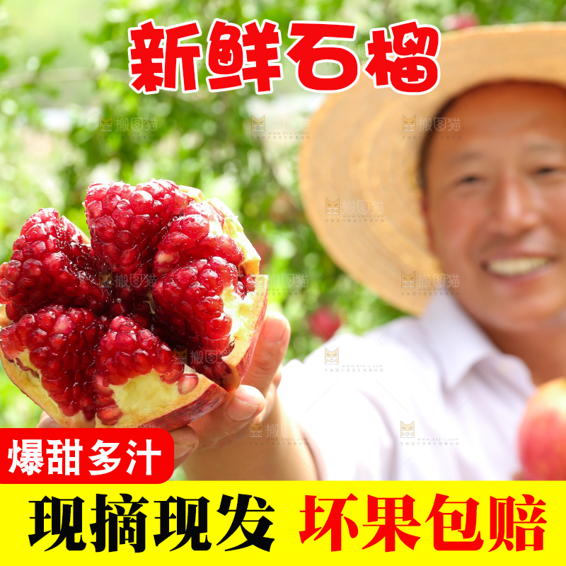 石榴产地