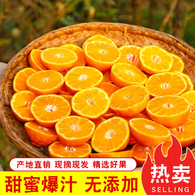 草地上的耙耙柑
