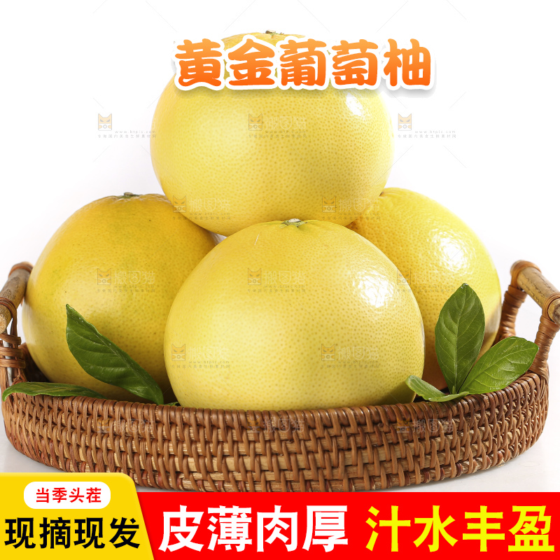 白底上的黄金葡萄柚