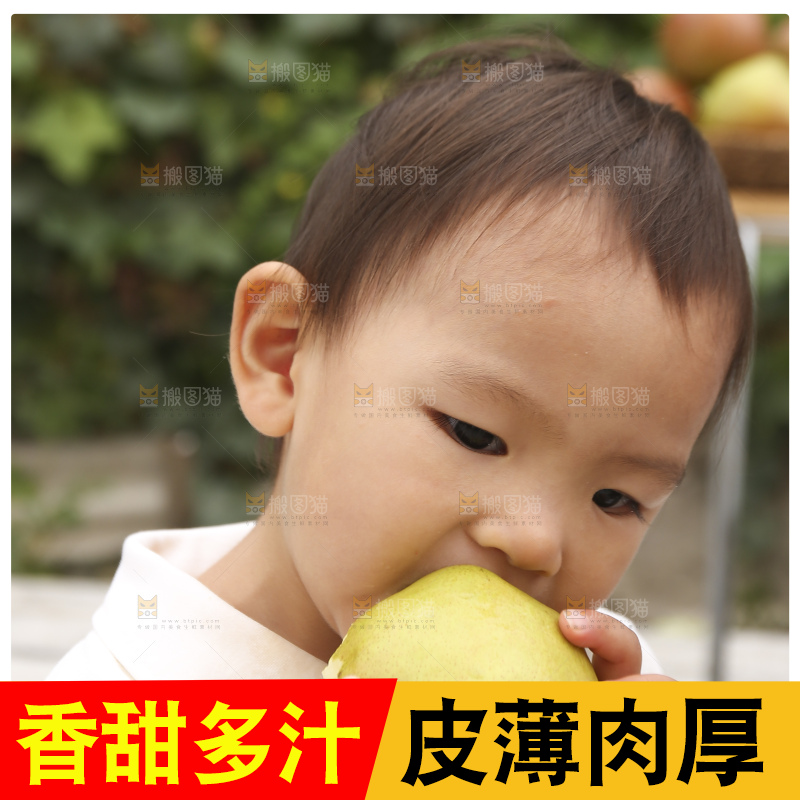 手里拿着玉露香梨