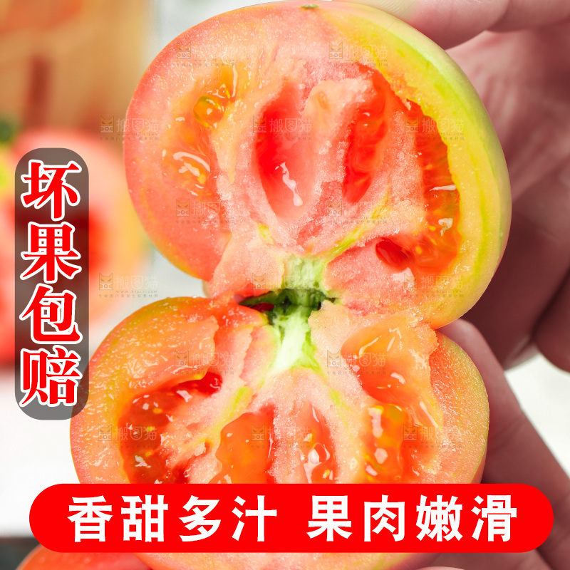 浅底上的铁皮西红柿