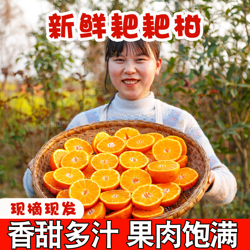 草地上的耙耙柑