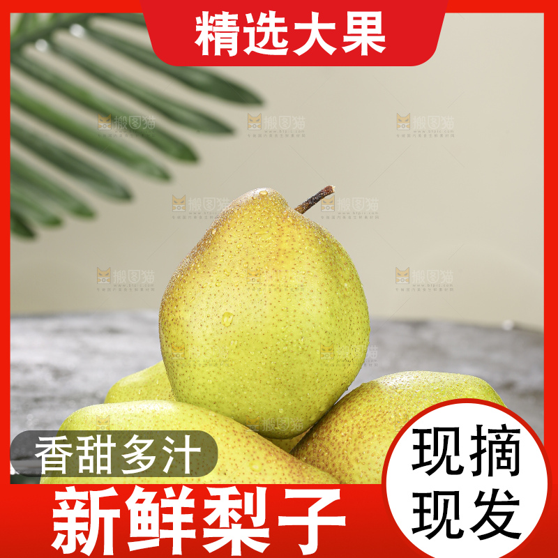 深底上放着红香酥梨