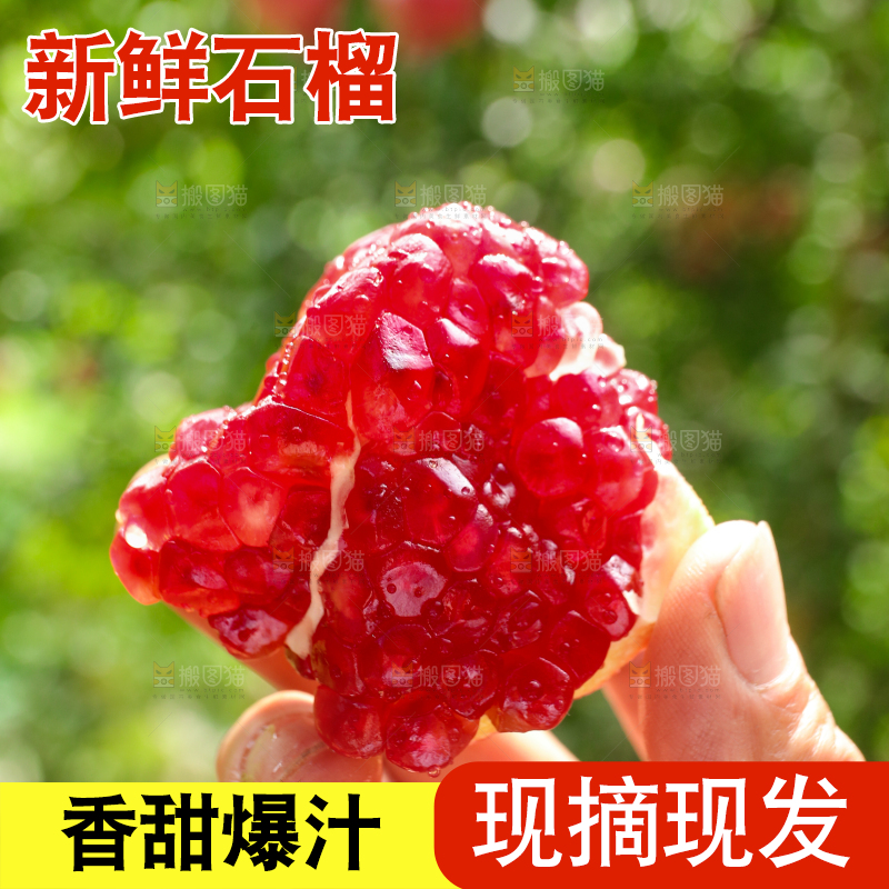 石榴产地