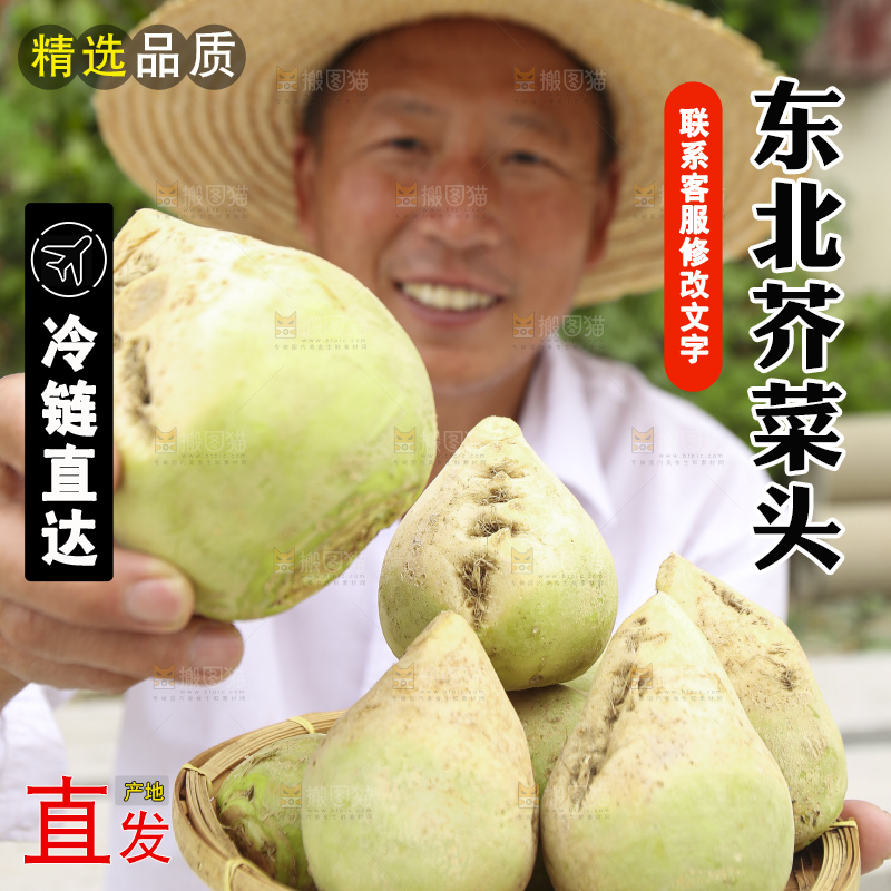 手里拿着大头芥菜