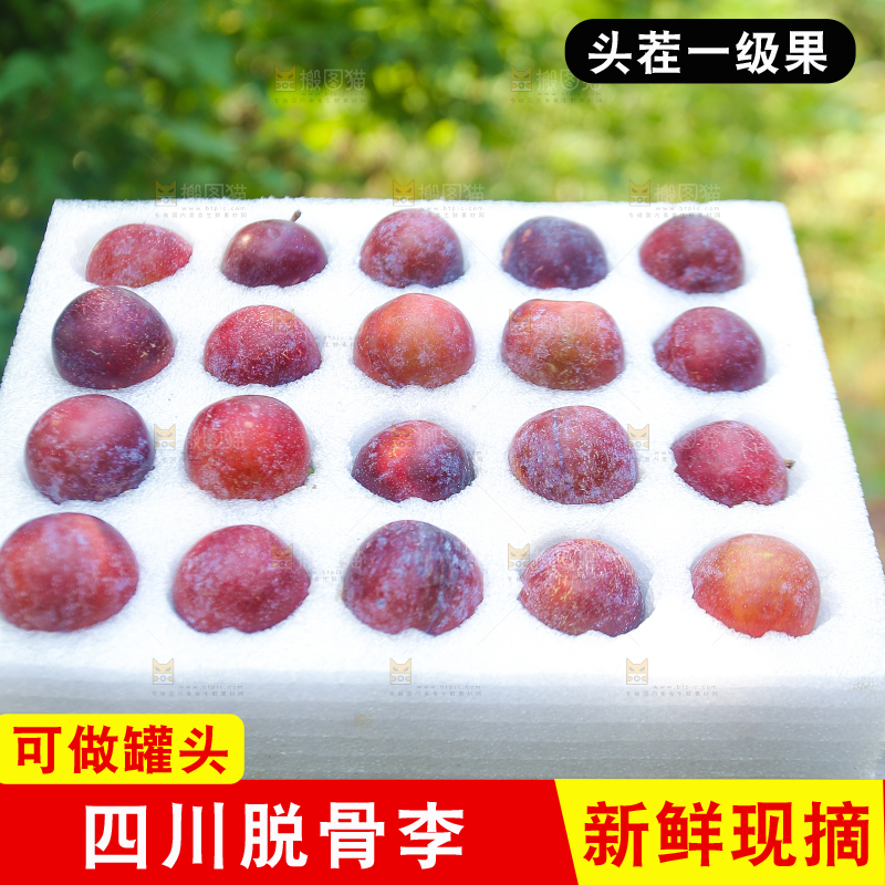 木底上放着红脱骨李