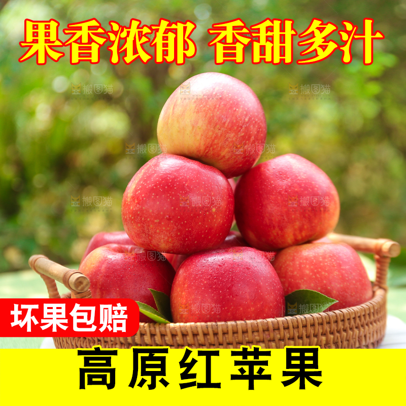 手里拿着高原红苹果