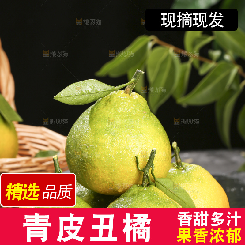 深底上的青皮丑橘
