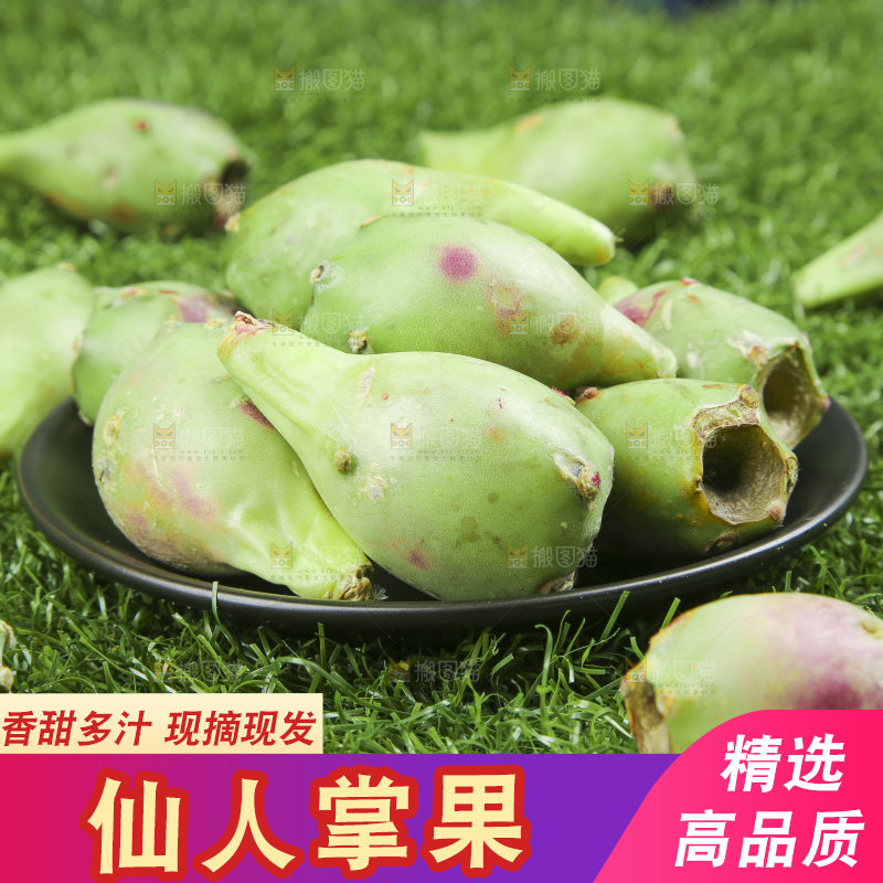 一盘仙人掌果放在草地上