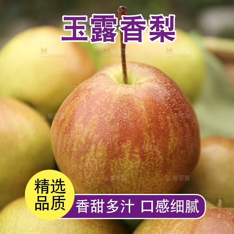 手里拿着玉露香梨