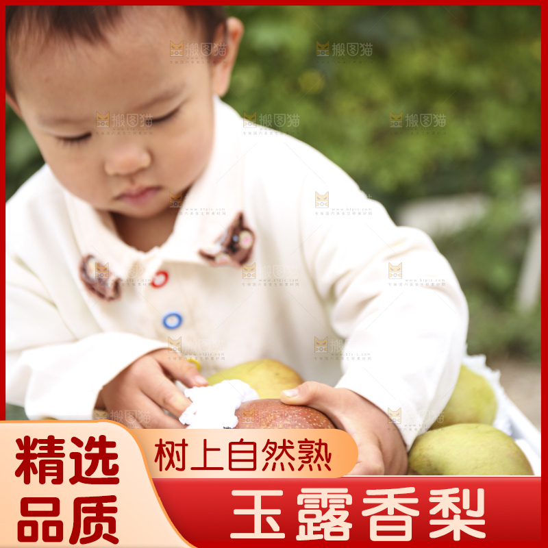 手里拿着玉露香梨