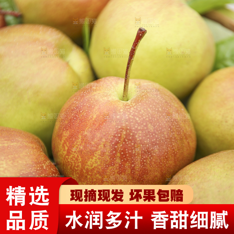 深底上的玉露香梨
