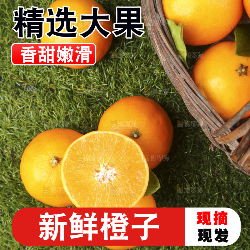 草地上的果冻橙