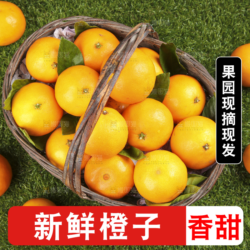 草地上的果冻橙
