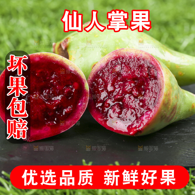 黑石板上放着仙人掌果